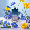 Free Sample Luxury Vintage Clear Glass Perfume Pump Sprayer Bottle 30ML 50ML 100ML 200ML for Packaging and Diffuser Use