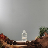 Special Shapes Cosmetic Packaging Bottle 5ml 7ml 8ml 10ml 12ml 15ml Small clear Glass Essential Oils Perfume Bottle